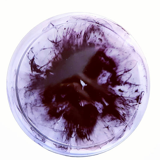 Resin Trinket Ring Dish, Coaster Black and White Mix