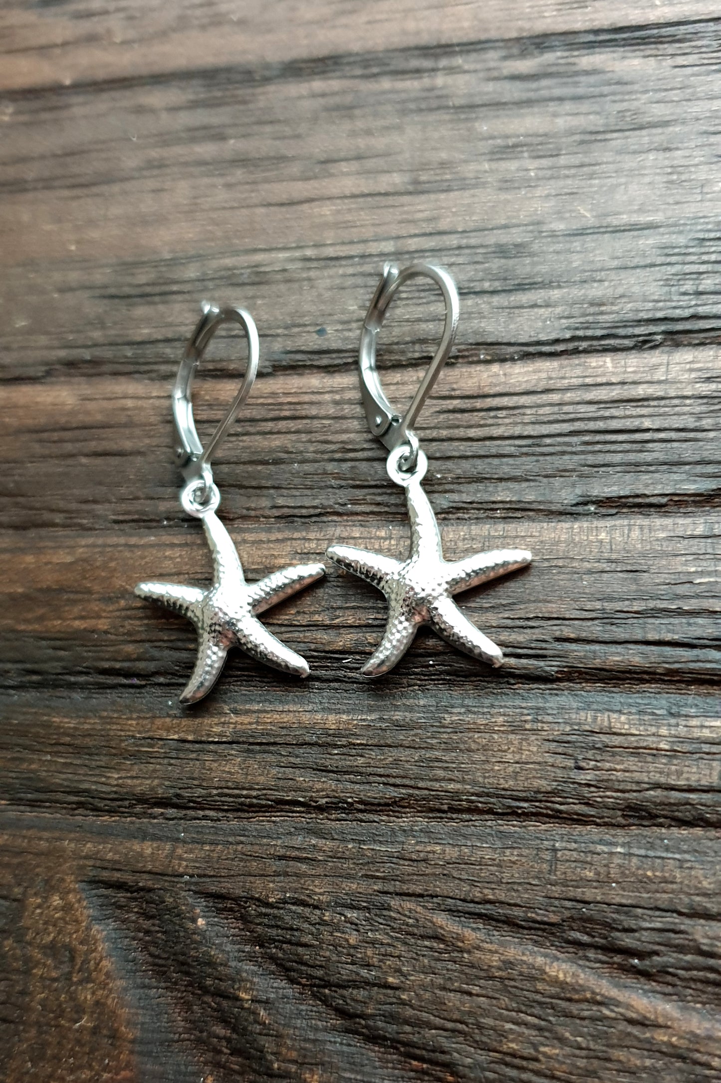 Starfish Earrings, Stainless Steel Earrings.